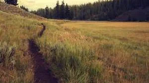 Top 5 best Kirkland Signature Golf Ballss review