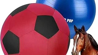Best 5 Huge Playground Ball