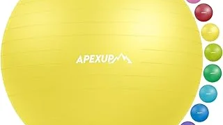 Best Selling 5 Gold's Gym Balance Ball