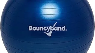 Most Popular 5 Weighted Balance Ball