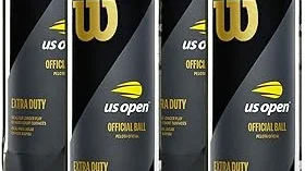 Most Popular 5 Wilson Us Open Tennis Balls