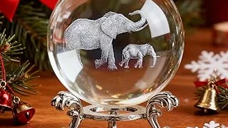Top Rated 5 Elephant Balancing on Ball