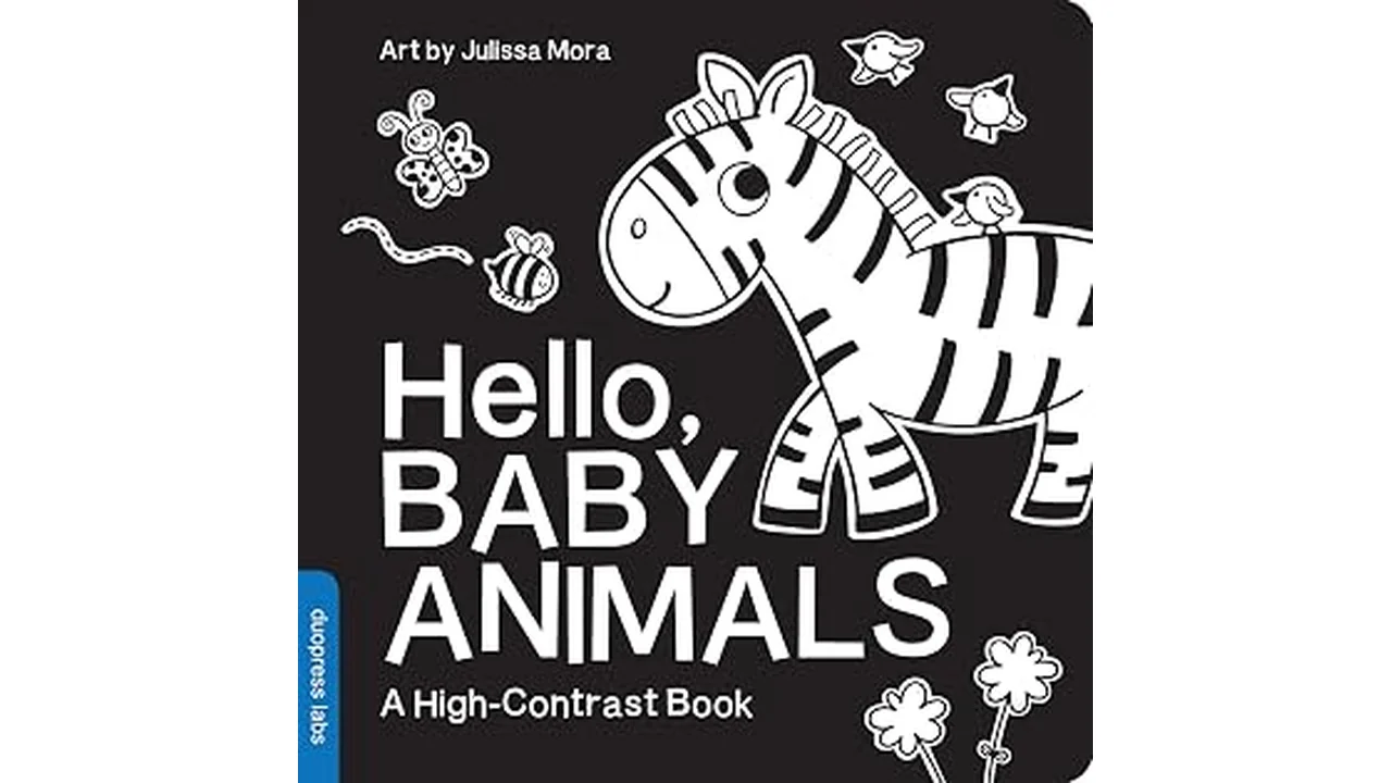Top 5 Best Newborn Books